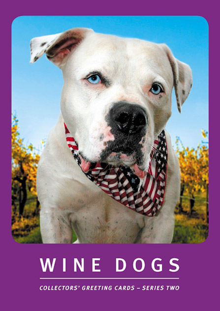 Wine Dogs Greeting Cards